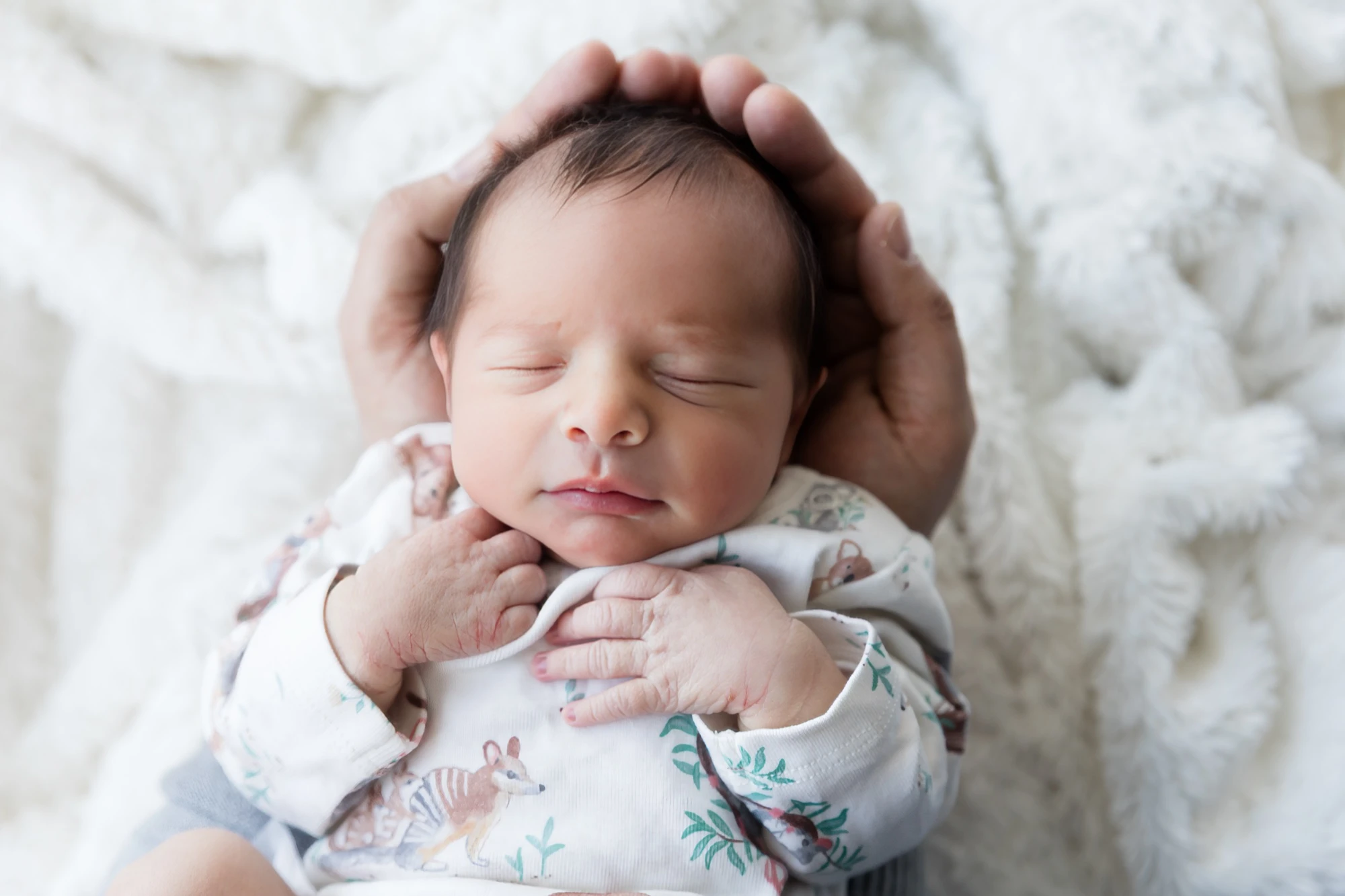 Newborn session at The George Center, Gledswood Hills — sample 4