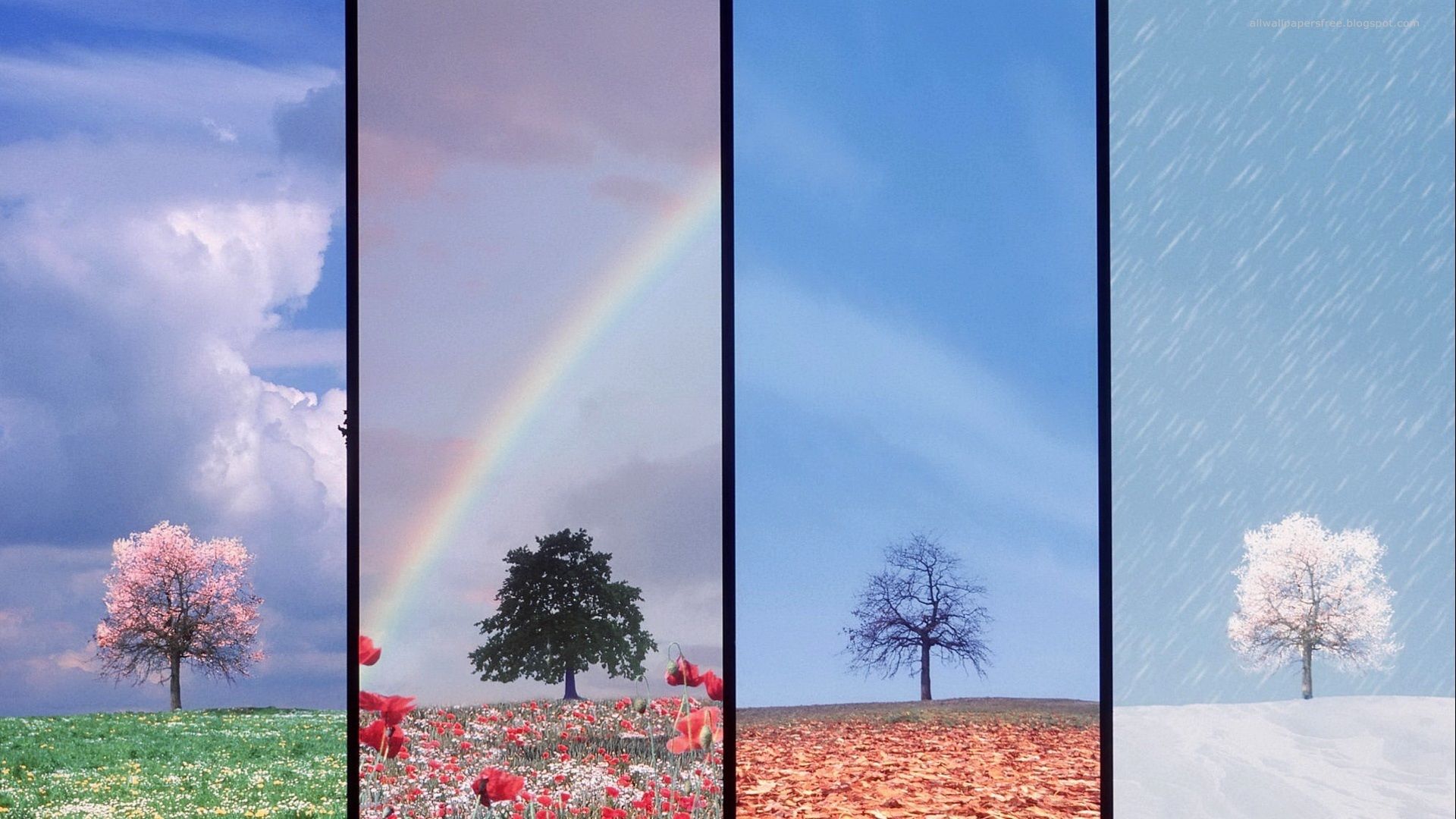 4 seasons