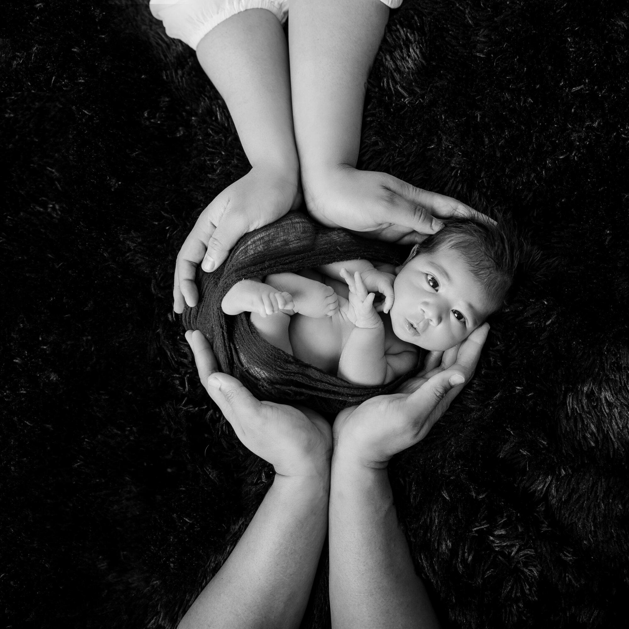Newborn Photoshoot Sydney 26