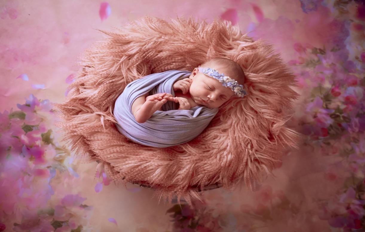 Best Times for Newborn Photography in Sydney img