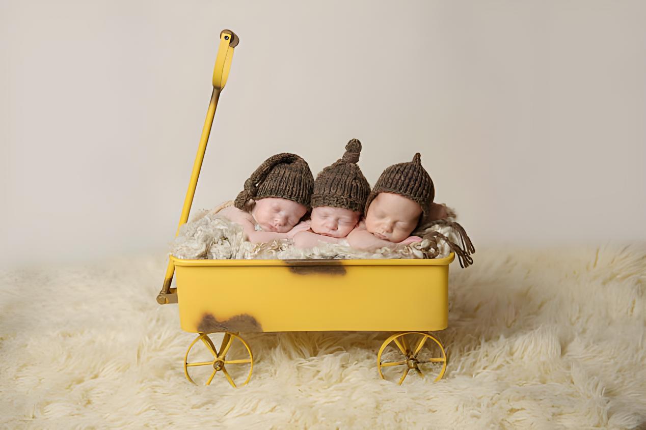 Newborn Photography Props Rental in Sydney img