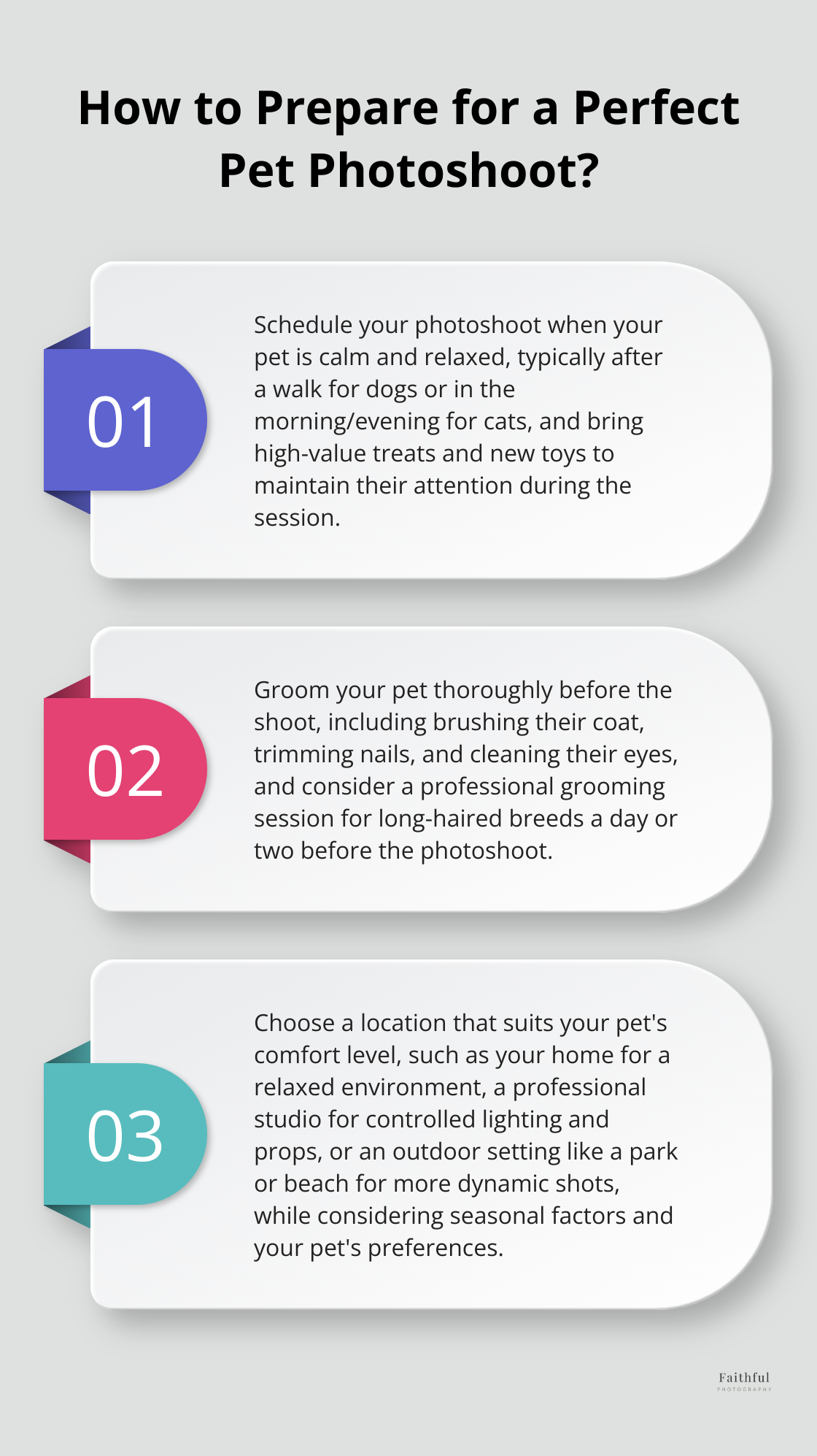 Infographic: How to Prepare for a Perfect Pet Photoshoot?